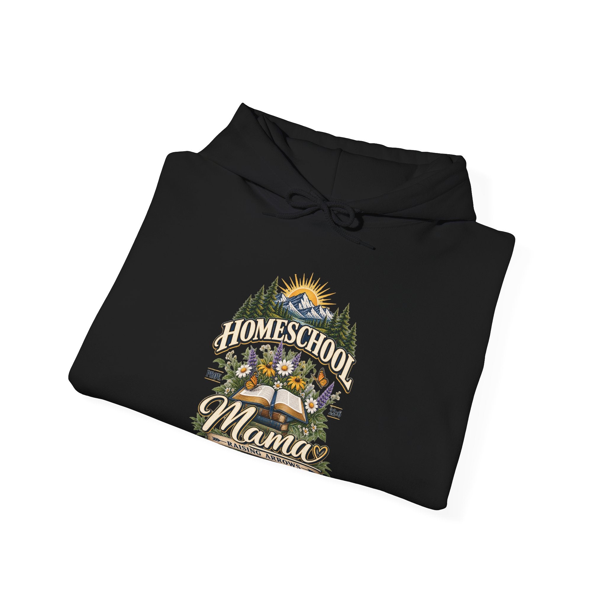 Agape Homeschool Academy Raising Arrows Hoodie