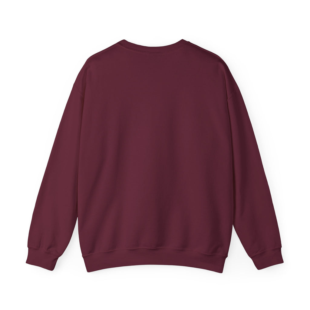 Lions Agape Homeschool Academy Adventure Sweatshirt