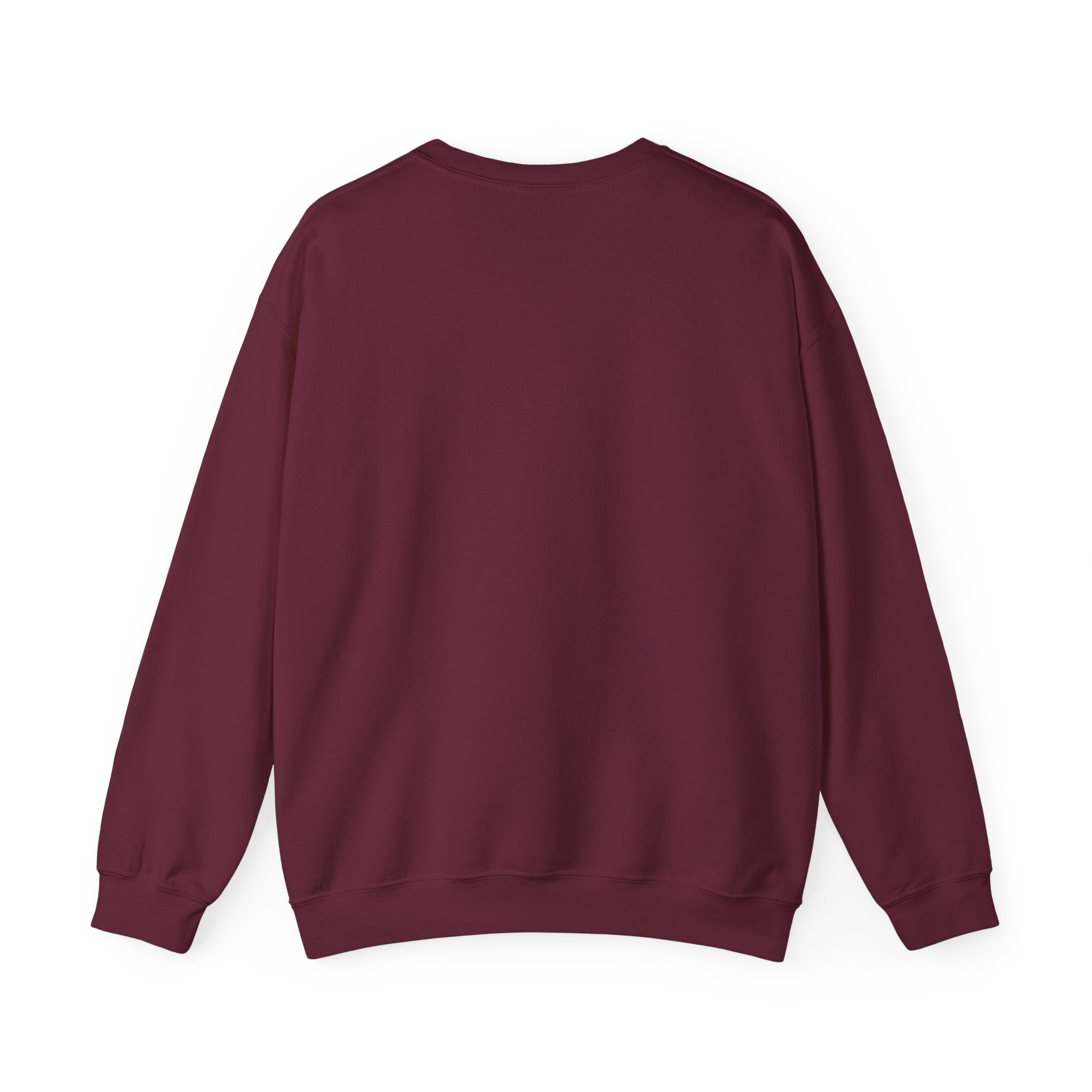 Lions Agape Homeschool Academy Adventure Sweatshirt