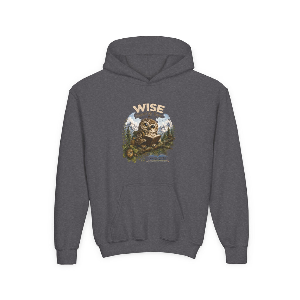 Doves Agape Christian Academy Owl Pullover Hoodie
