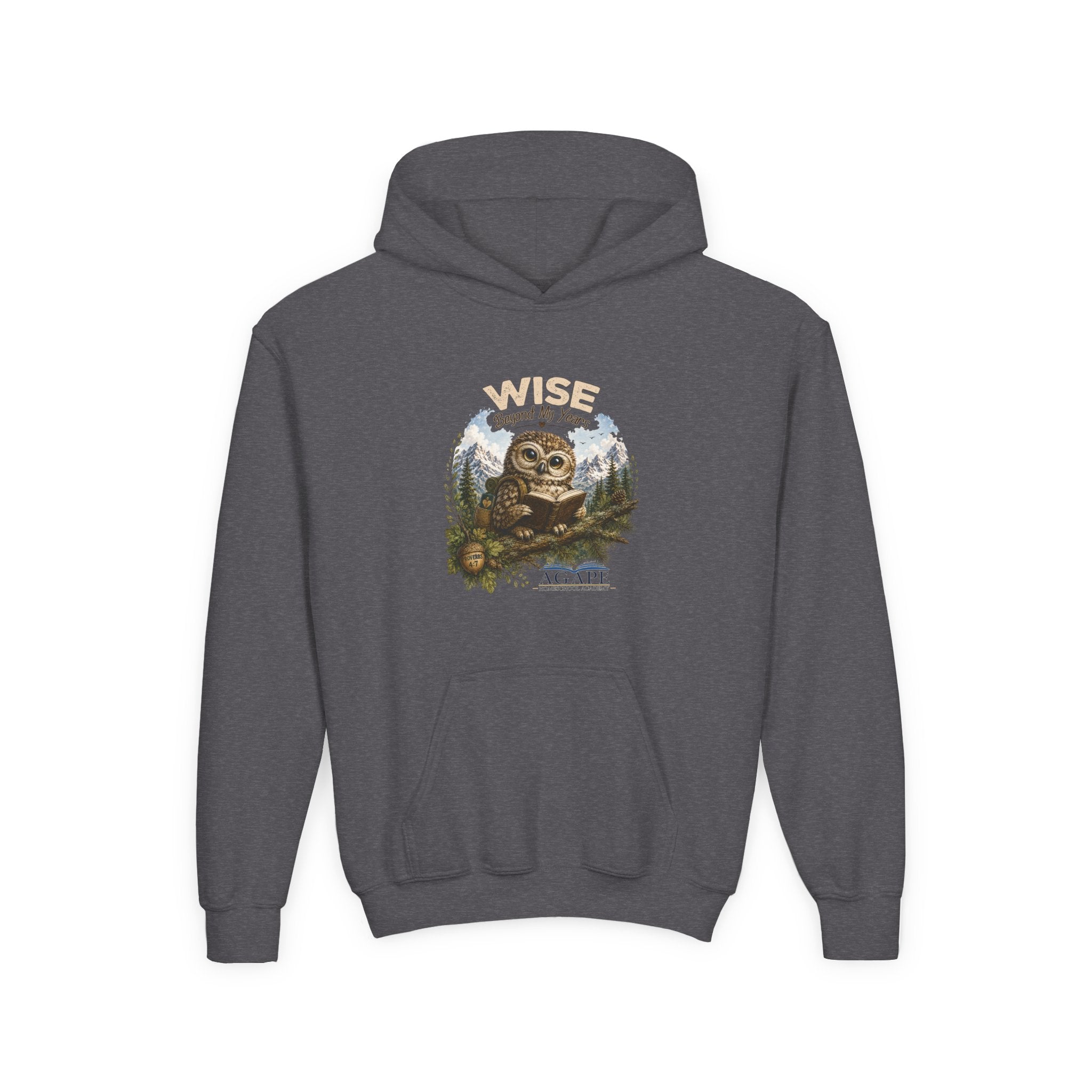 Doves Agape Christian Academy Owl Pullover Hoodie