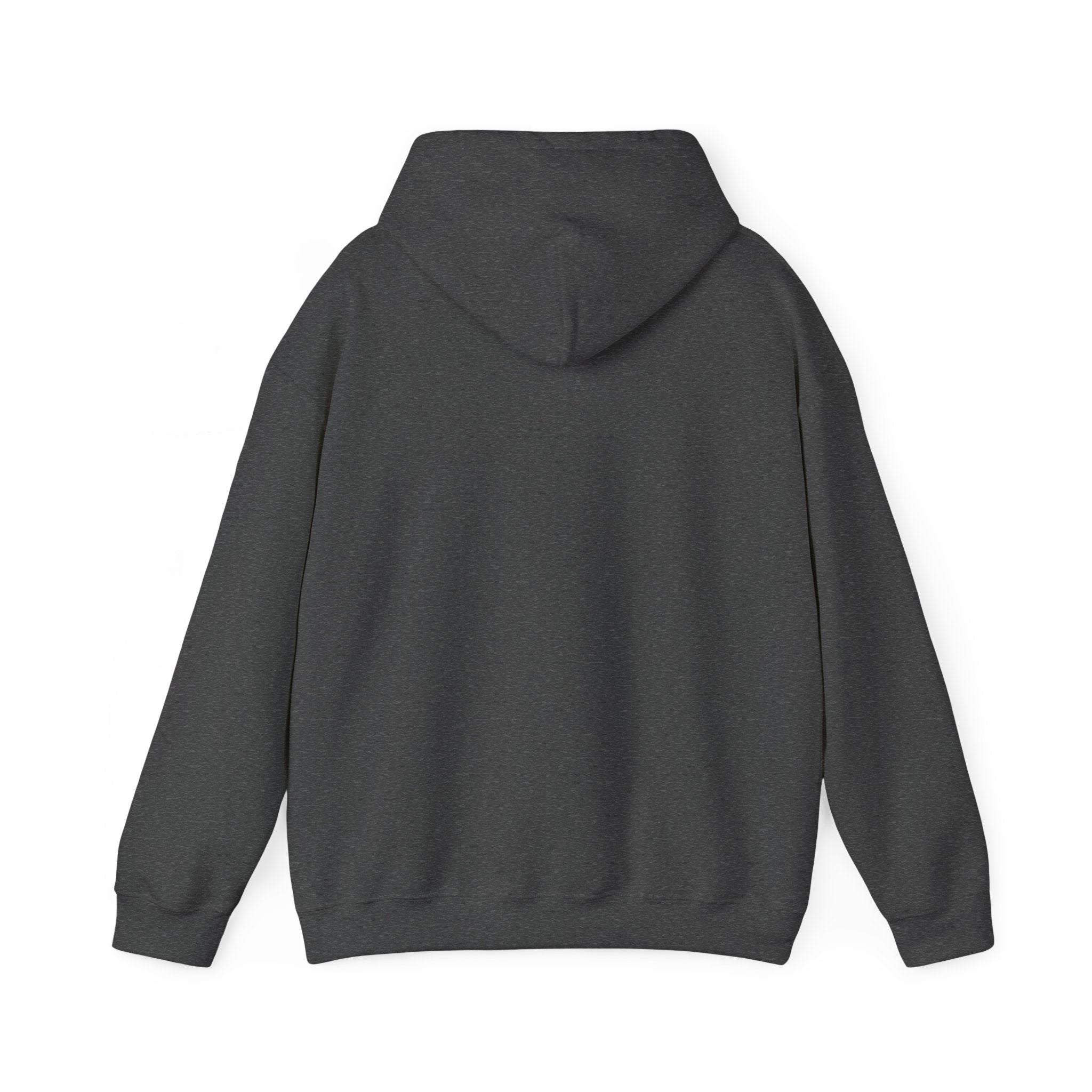 Lions Agape Homeschool Academy Pullover Hoodie