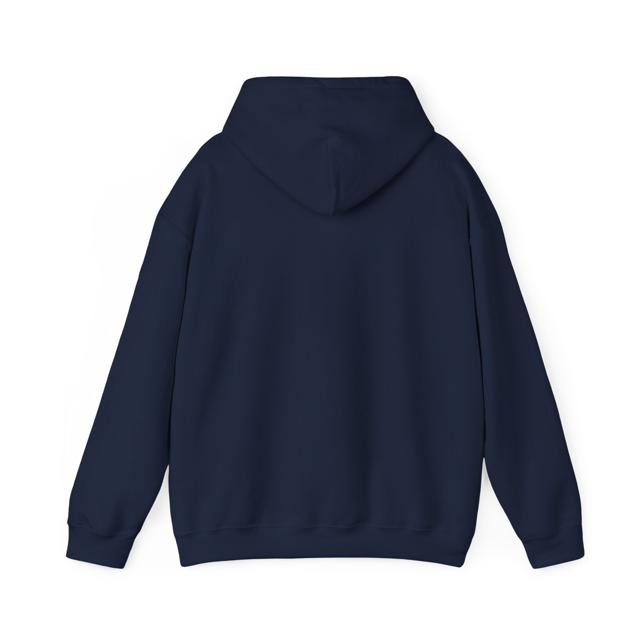 Lions Agape Homeschool Academy Logo Pullover Hoodie