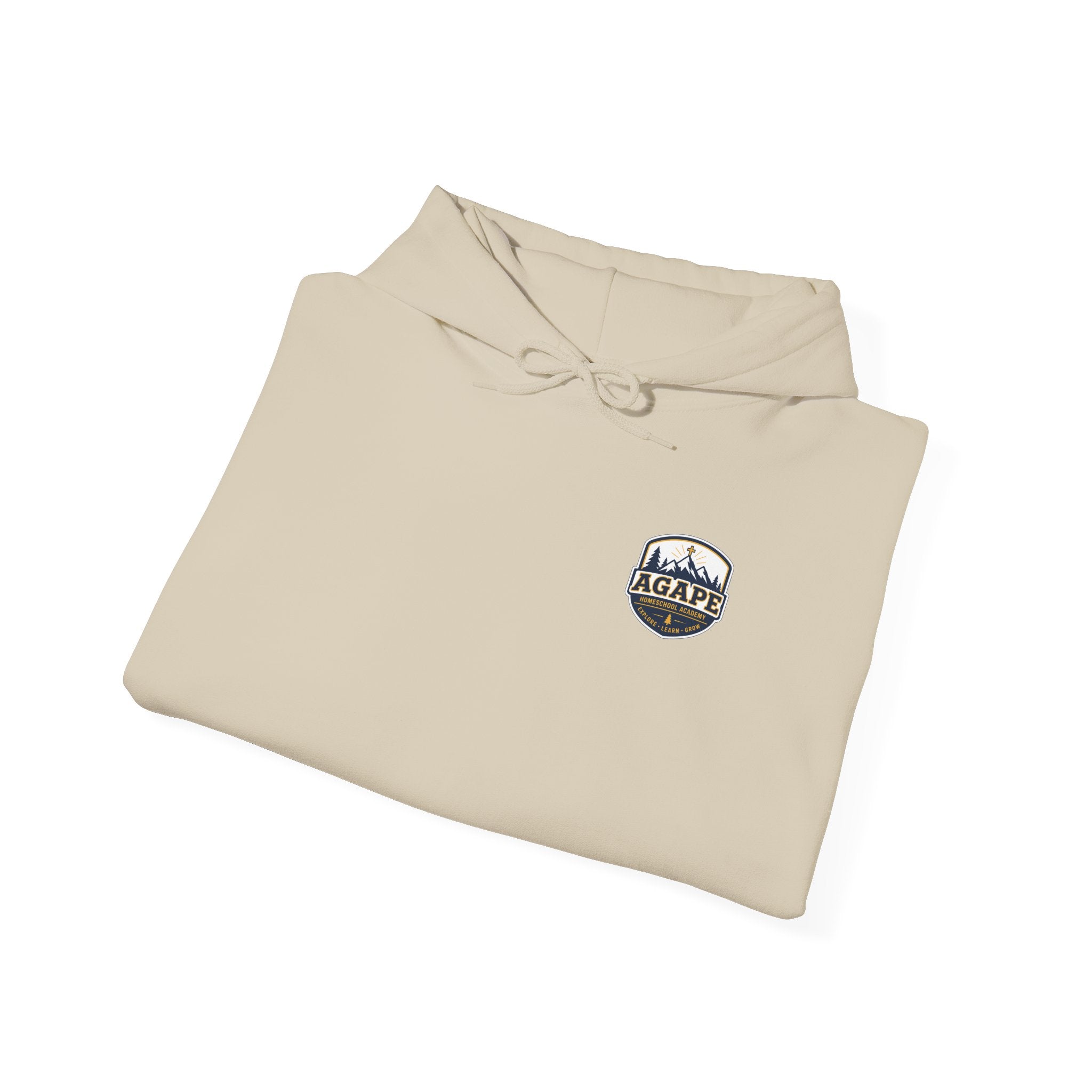 Men's Agape Homeschool Raising Disciples Pullover Hoodie