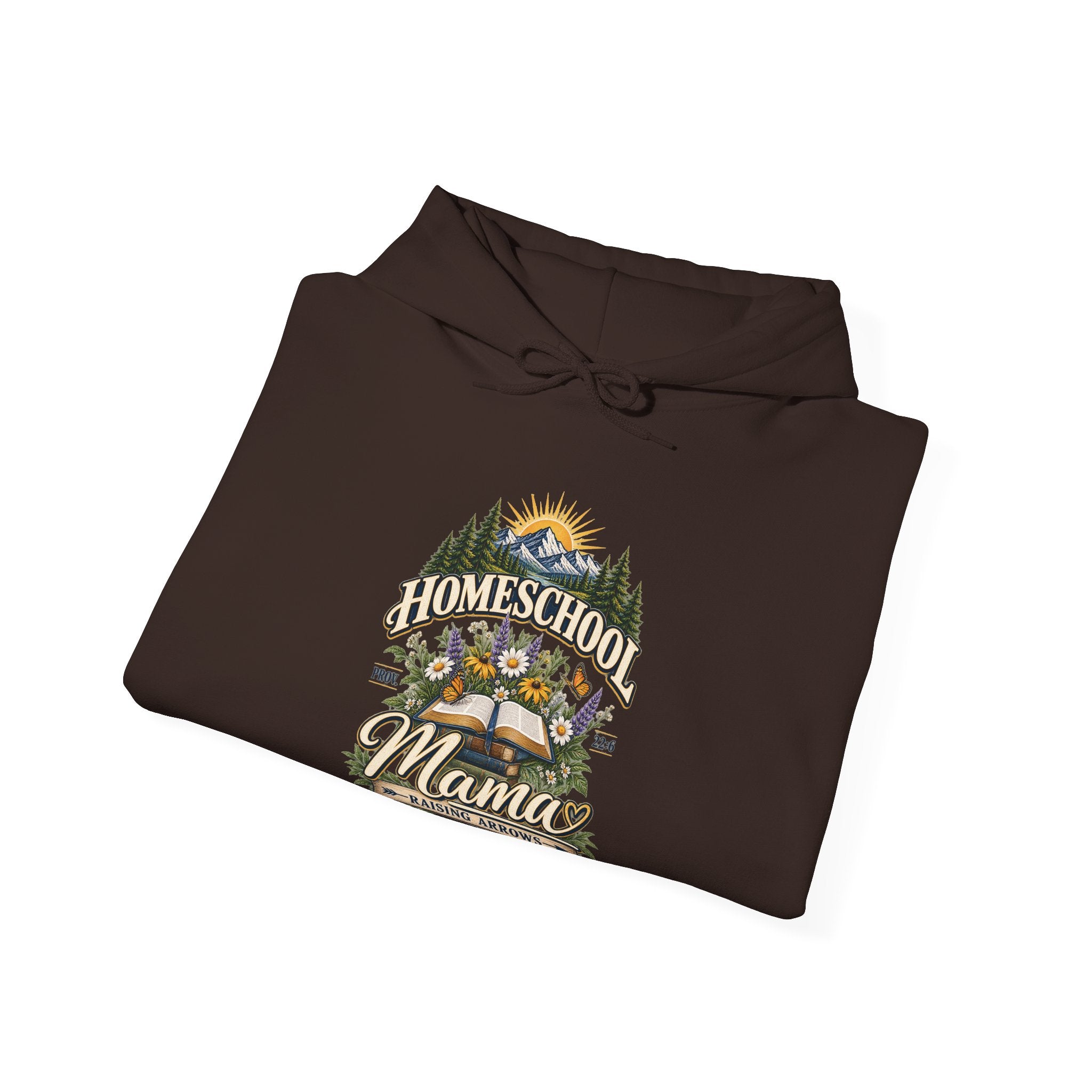 Agape Homeschool Academy Raising Arrows Hoodie