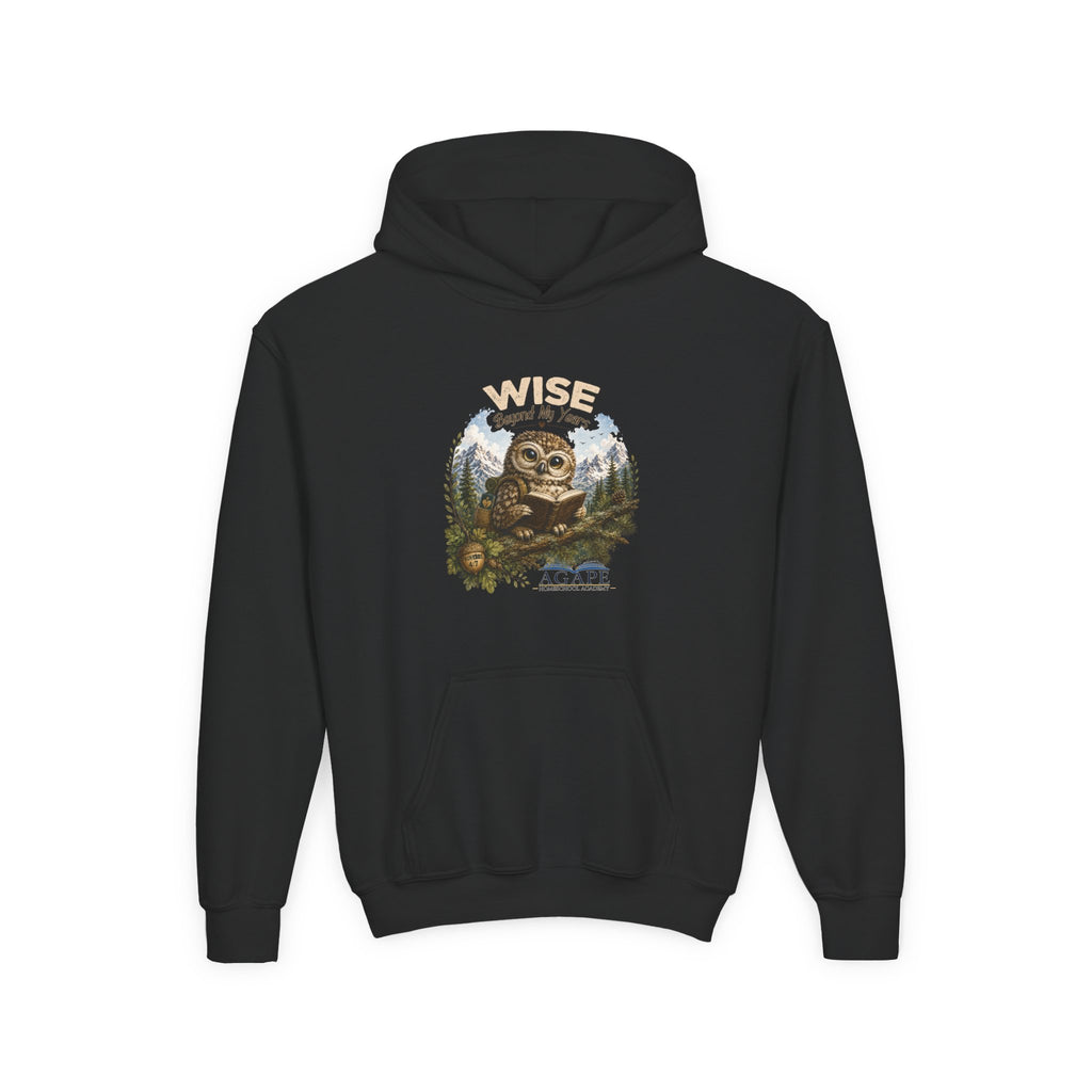 Doves Agape Christian Academy Owl Pullover Hoodie