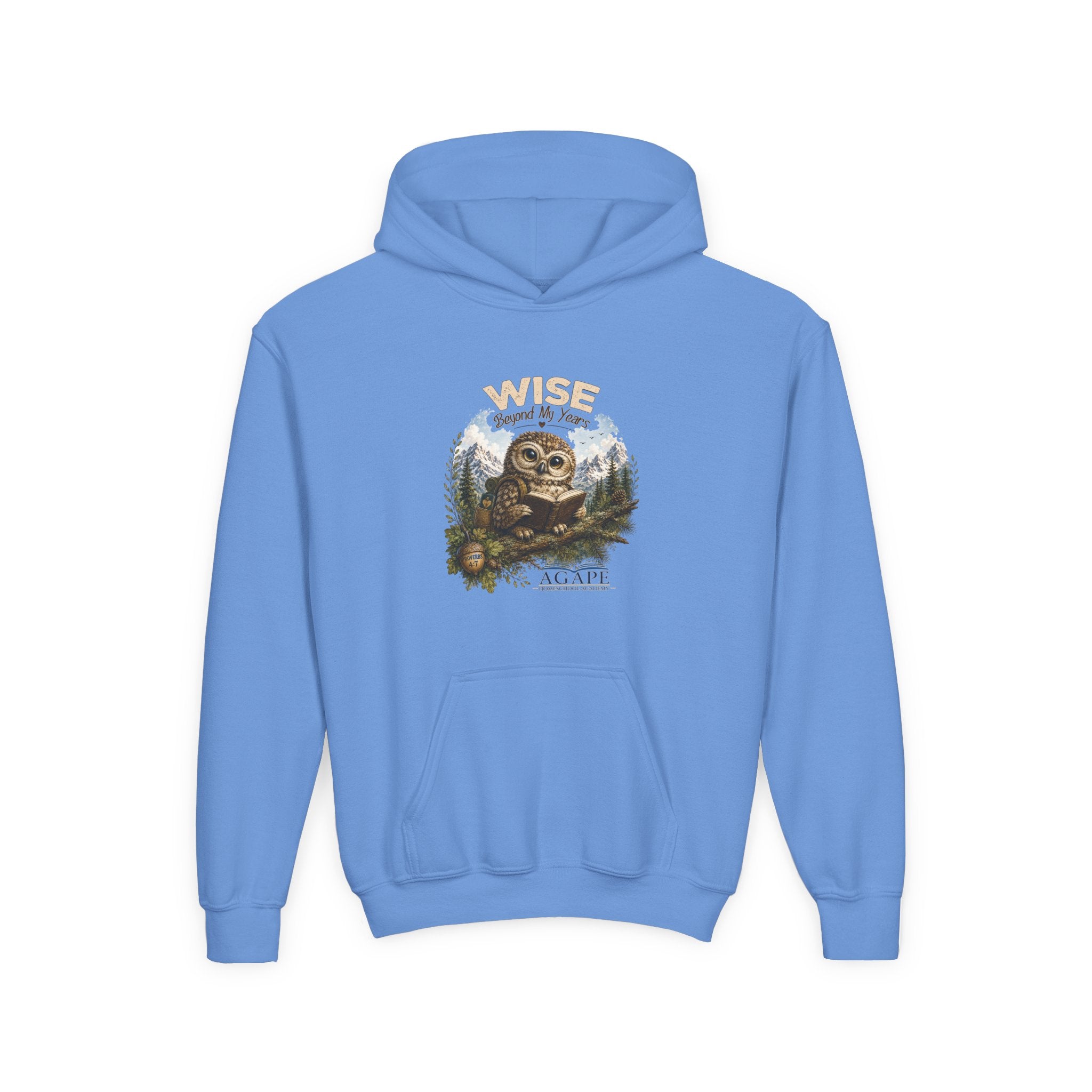 Doves Agape Christian Academy Owl Pullover Hoodie