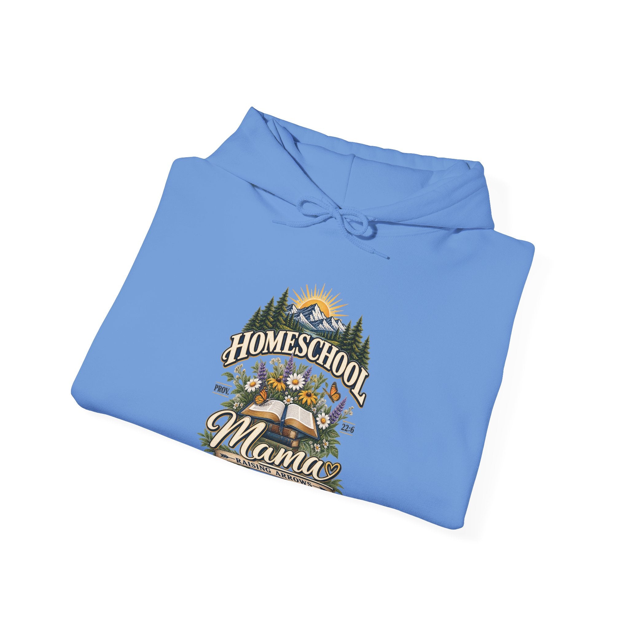 Agape Homeschool Academy Raising Arrows Hoodie