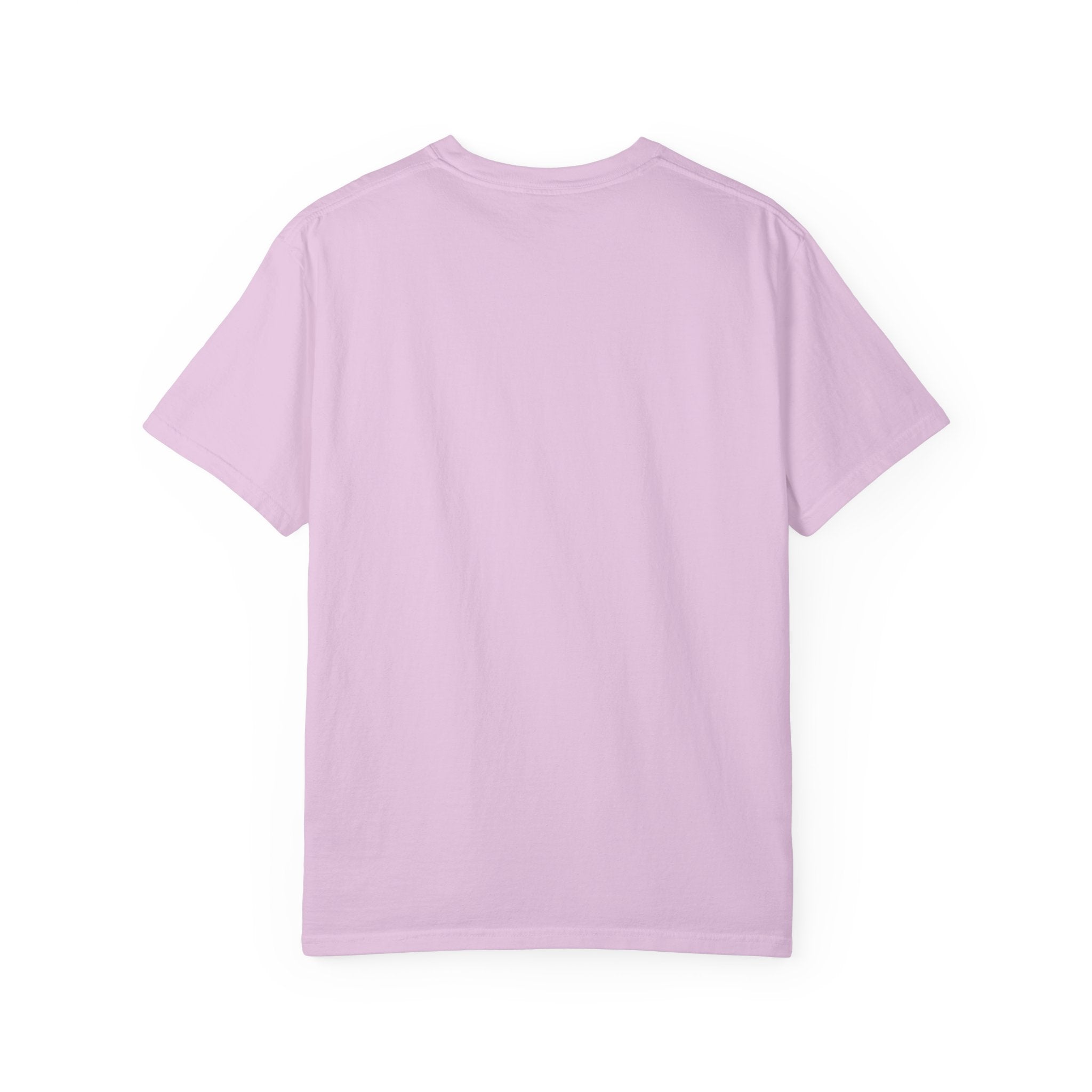 Lions Agape Homeschool Academy Tee