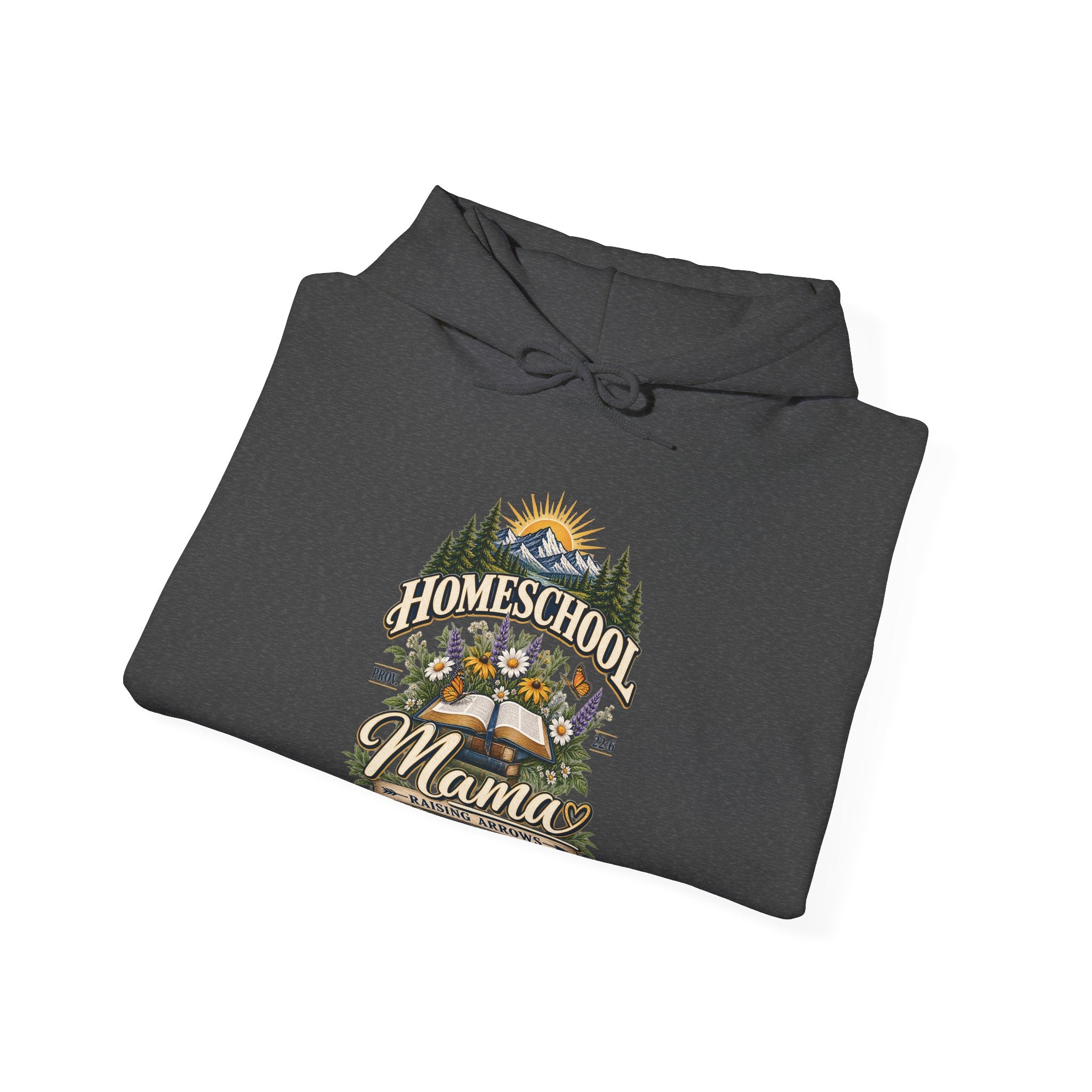 Agape Homeschool Academy Raising Arrows Hoodie