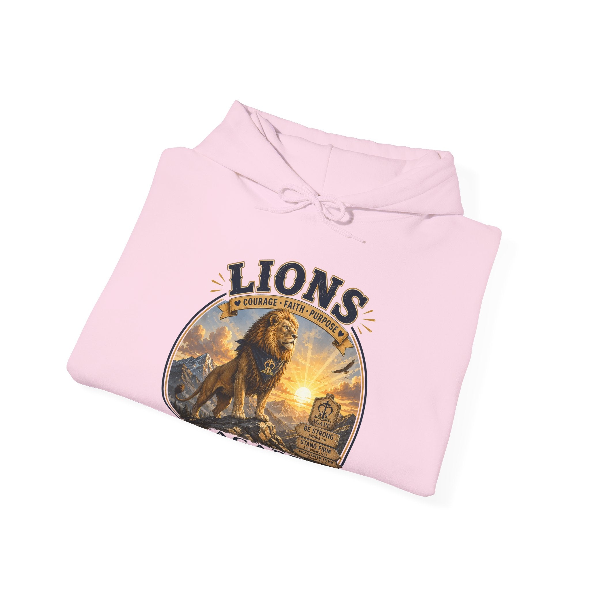 Lions Agape Homeschool Academy Pullover Hoodie