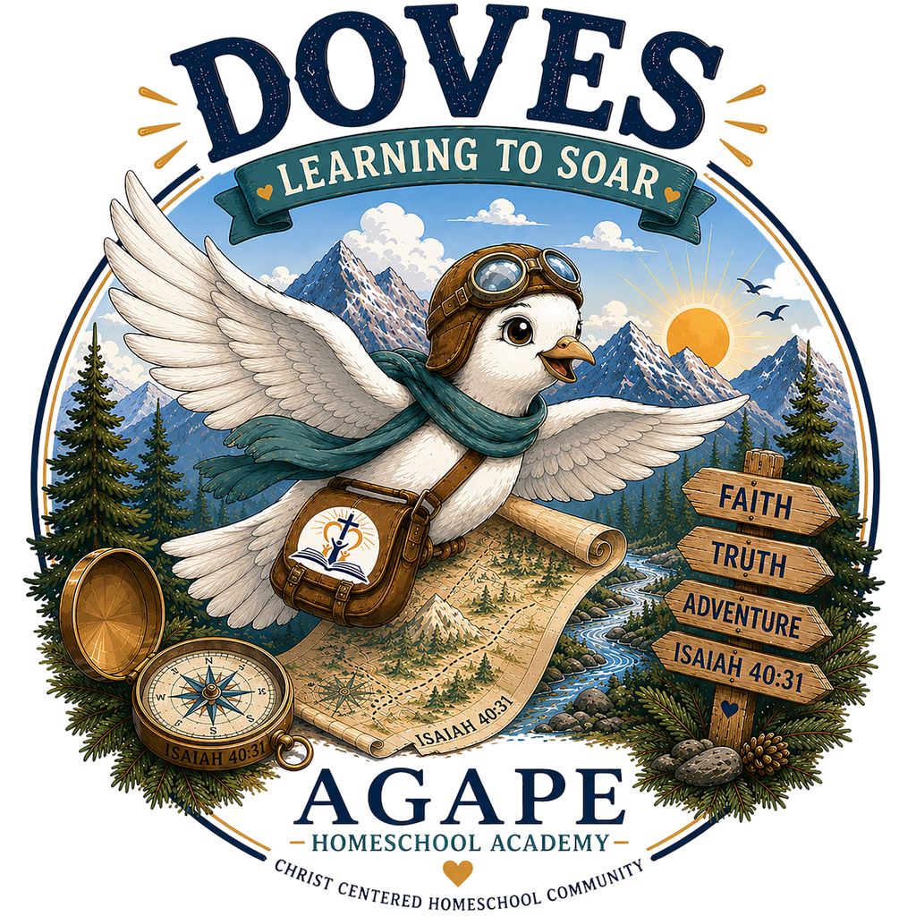 Doves Agape Christian Academy Pullover Hoodie
