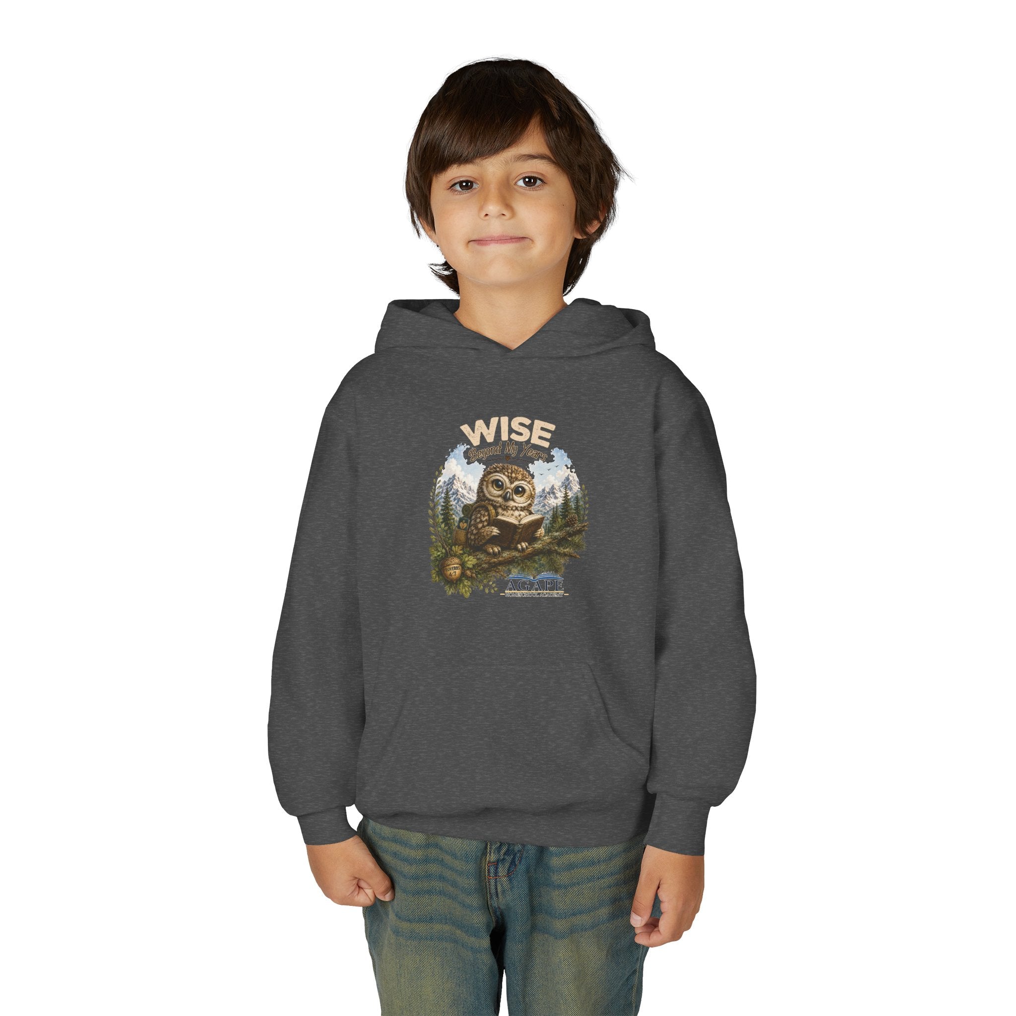 Doves Agape Christian Academy Owl Pullover Hoodie