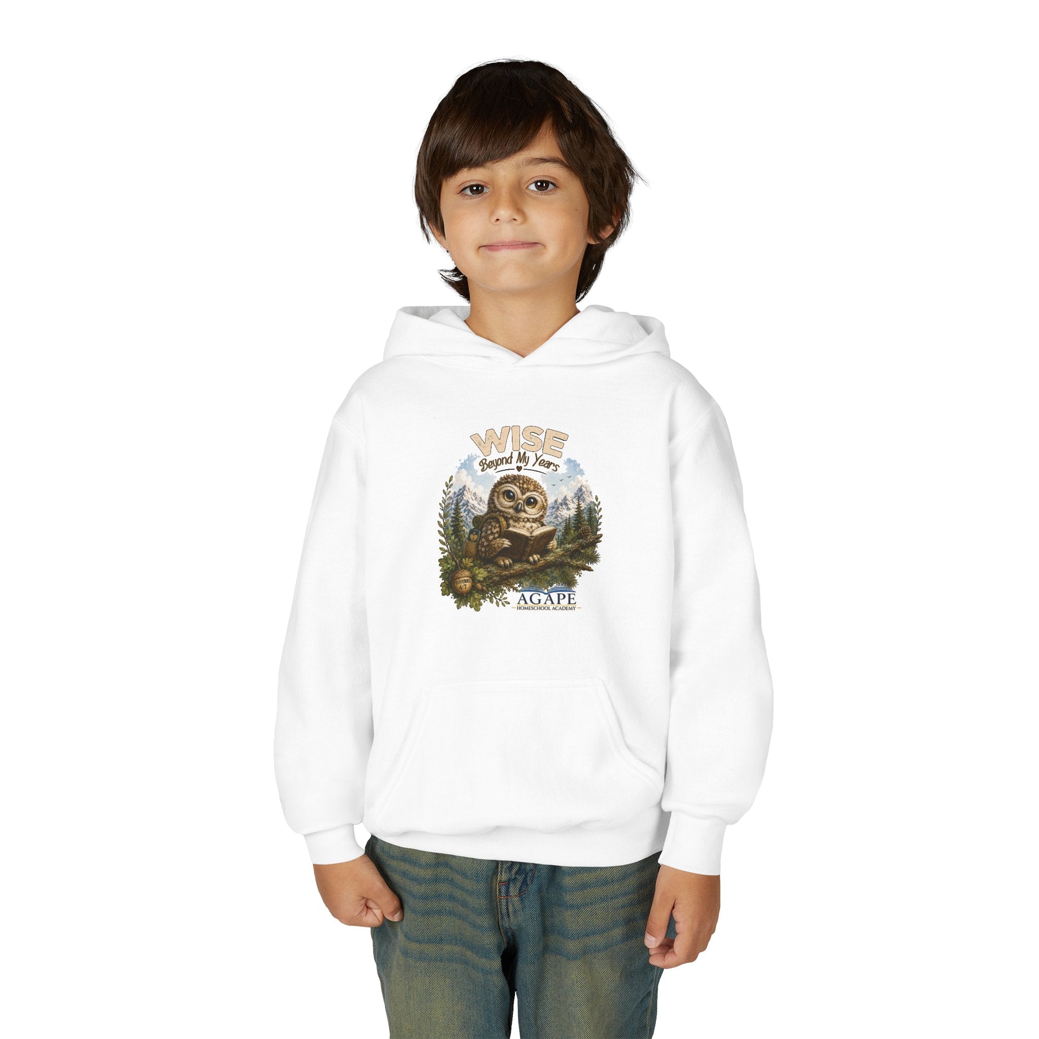 Doves Agape Christian Academy Owl Pullover Hoodie