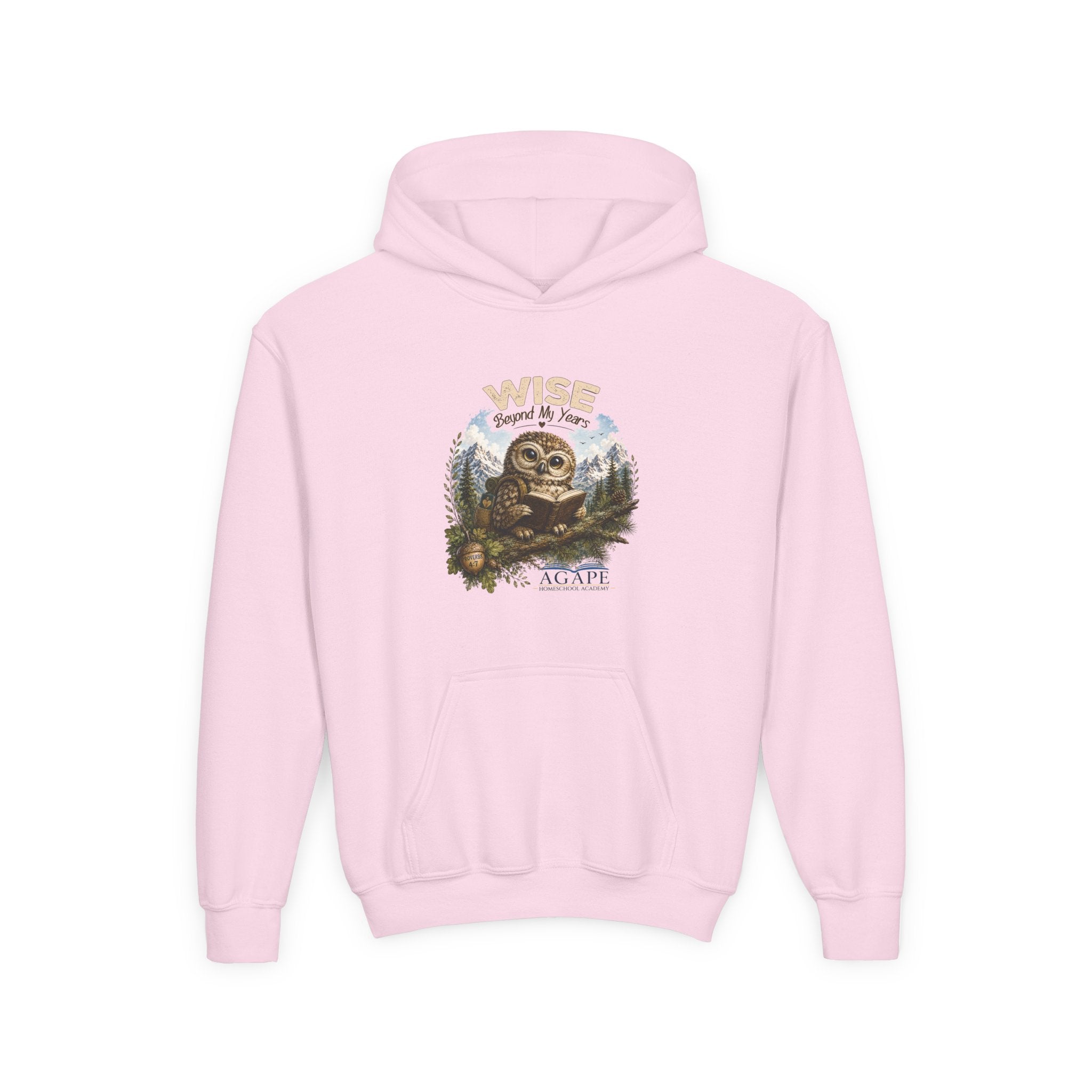 Doves Agape Christian Academy Owl Pullover Hoodie