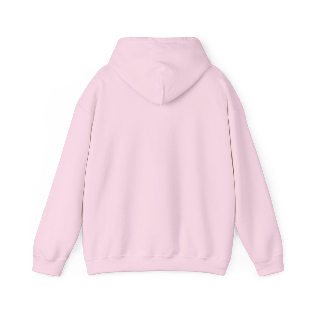 Lions Agape Homeschool Academy Pullover Hoodie