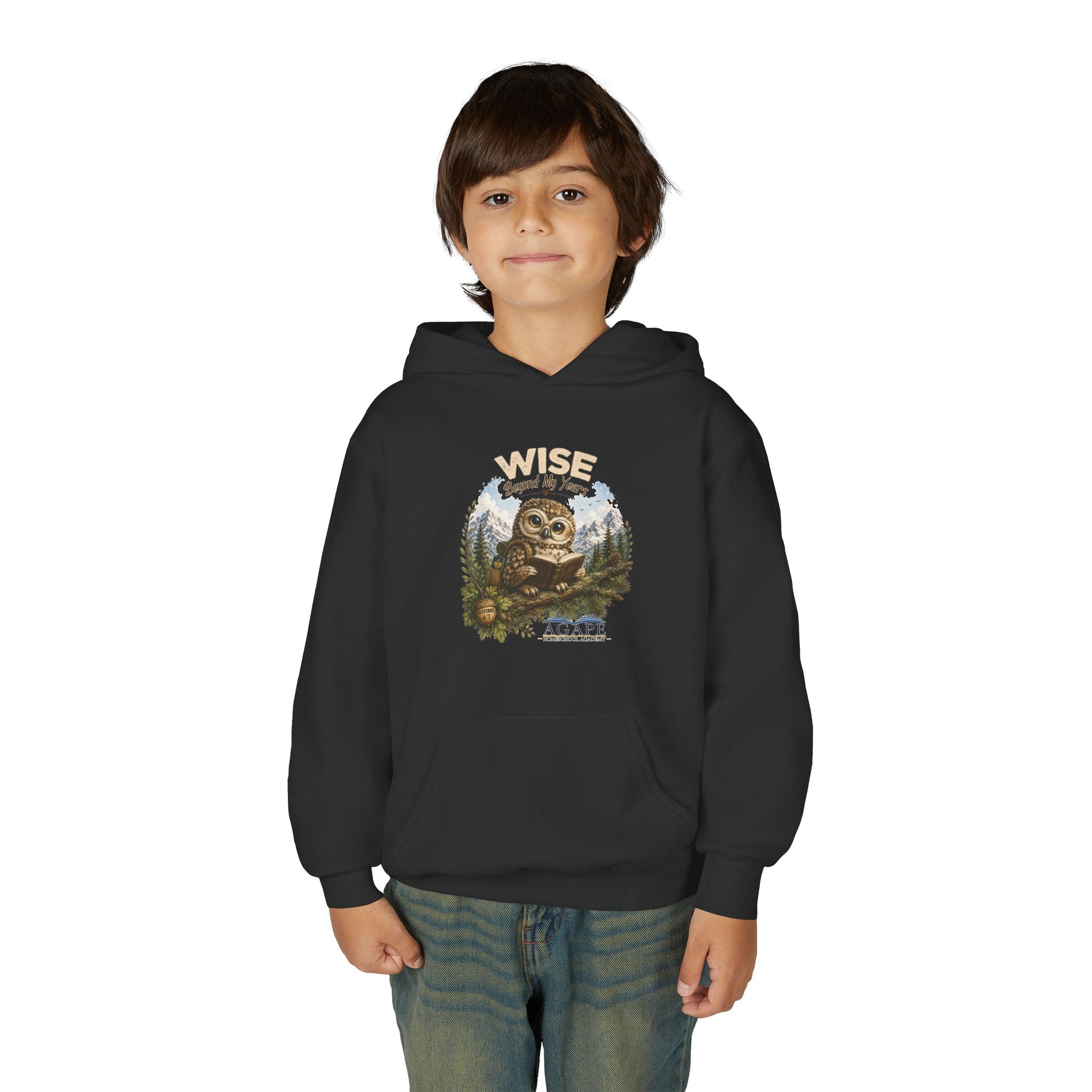Doves Agape Christian Academy Owl Pullover Hoodie