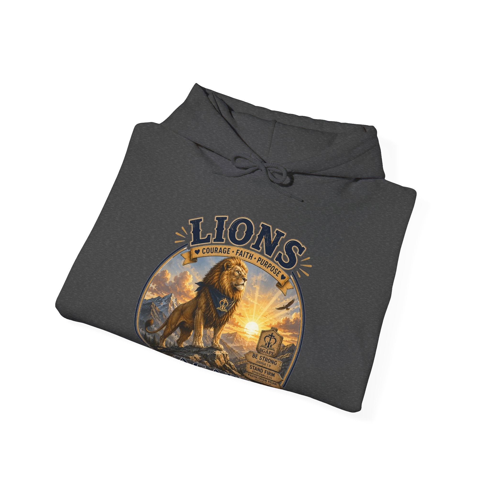 Lions Agape Homeschool Academy Pullover Hoodie