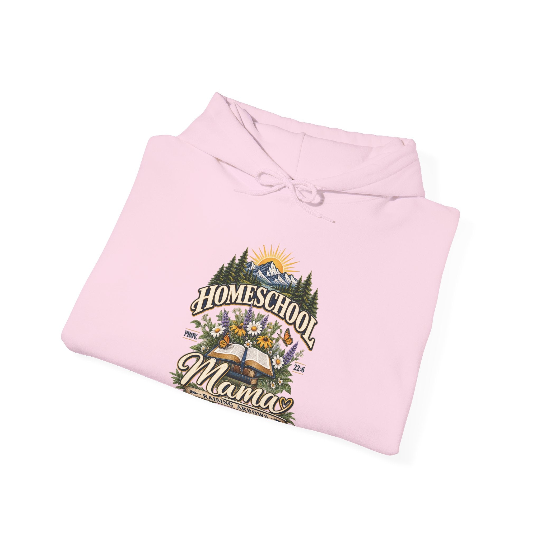 Agape Homeschool Academy Raising Arrows Hoodie
