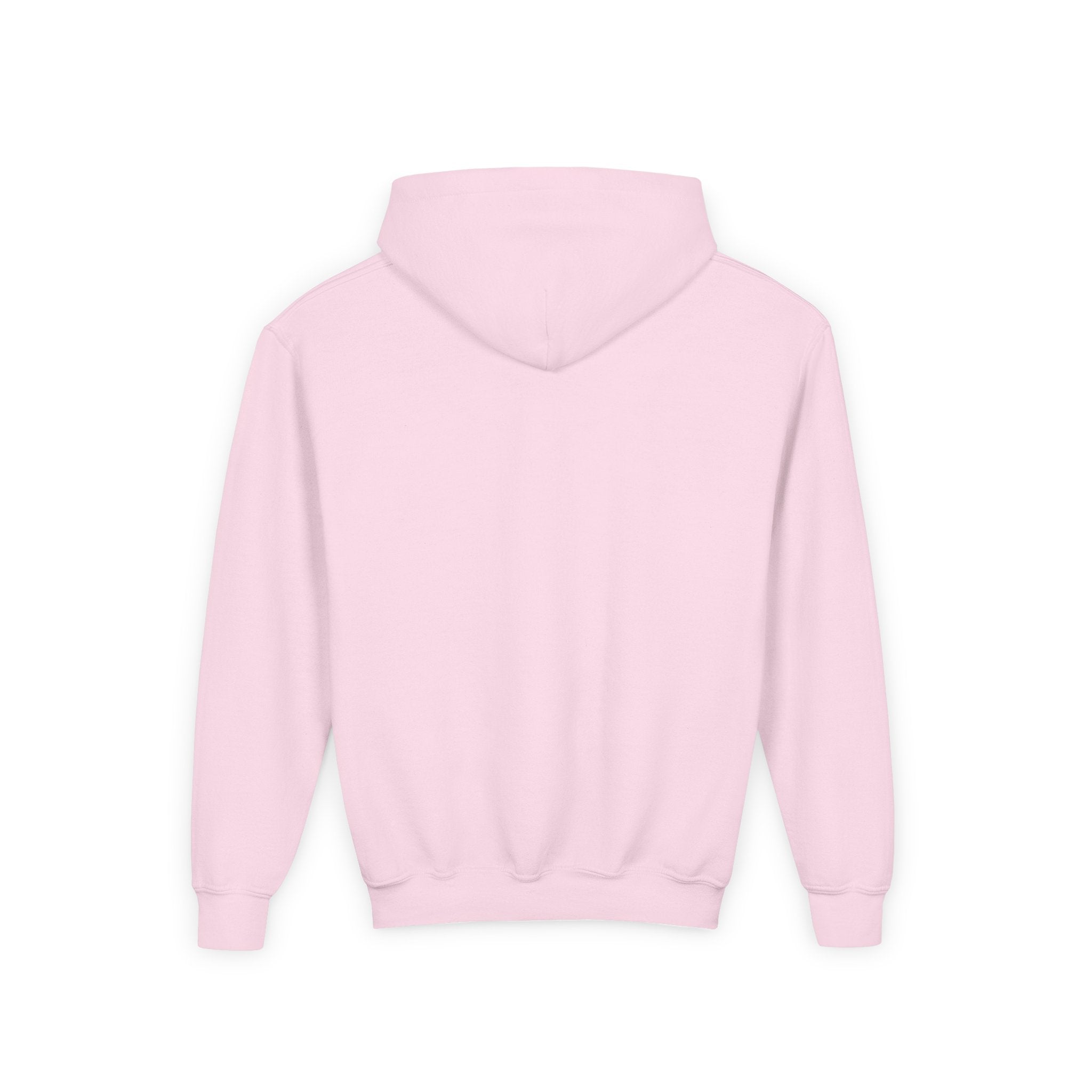 Doves Agape Christian Academy Logo Pullover Hoodie