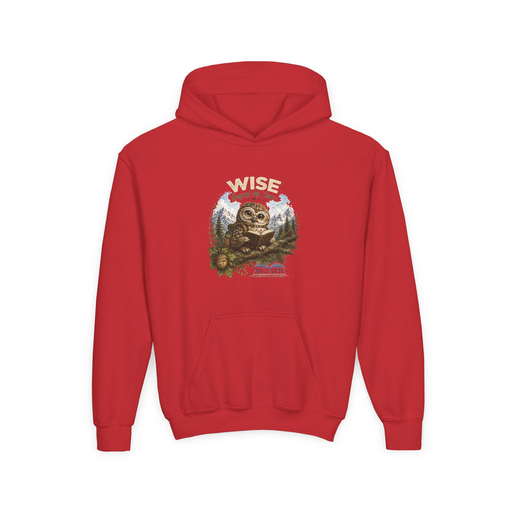 Doves Agape Christian Academy Owl Pullover Hoodie
