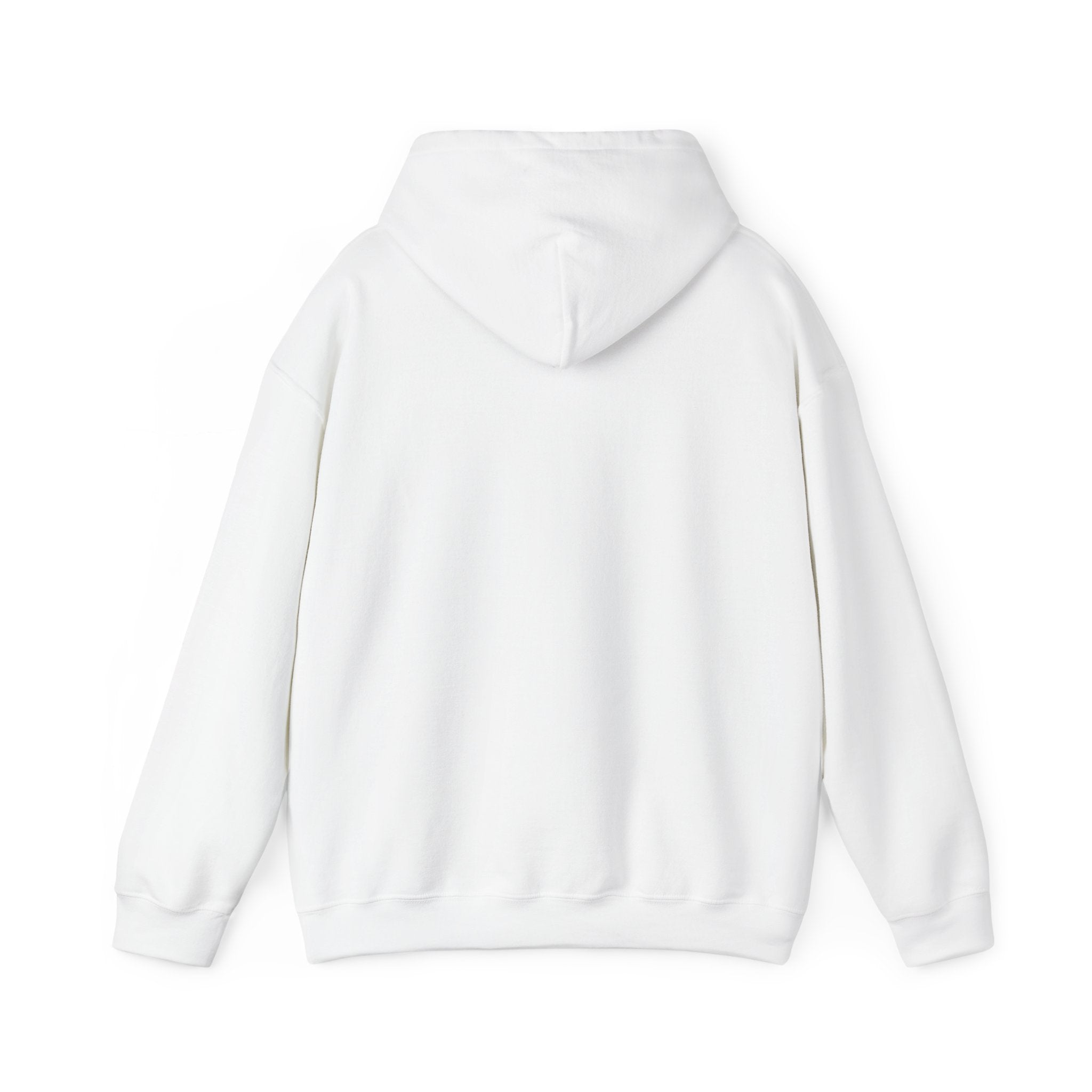 Lions Agape Homeschool Academy Adventure Pullover Hoodie