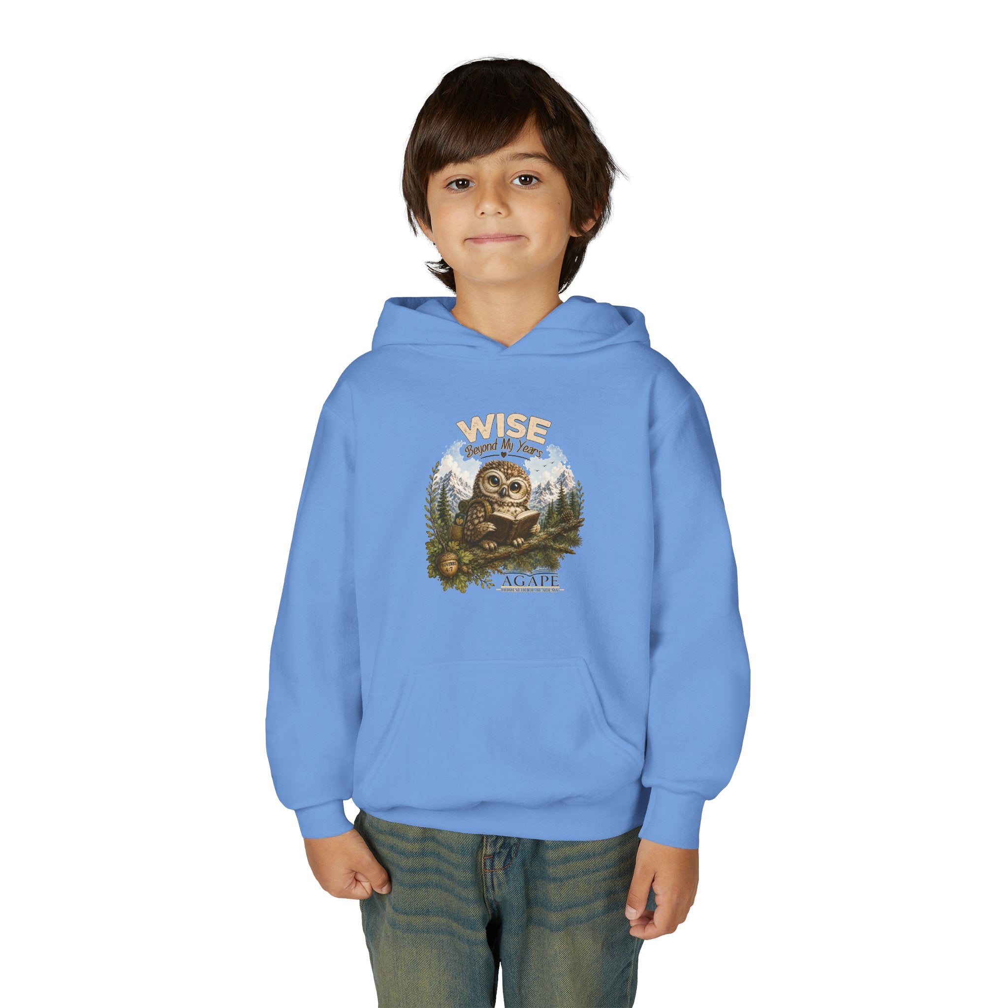 Doves Agape Christian Academy Owl Pullover Hoodie