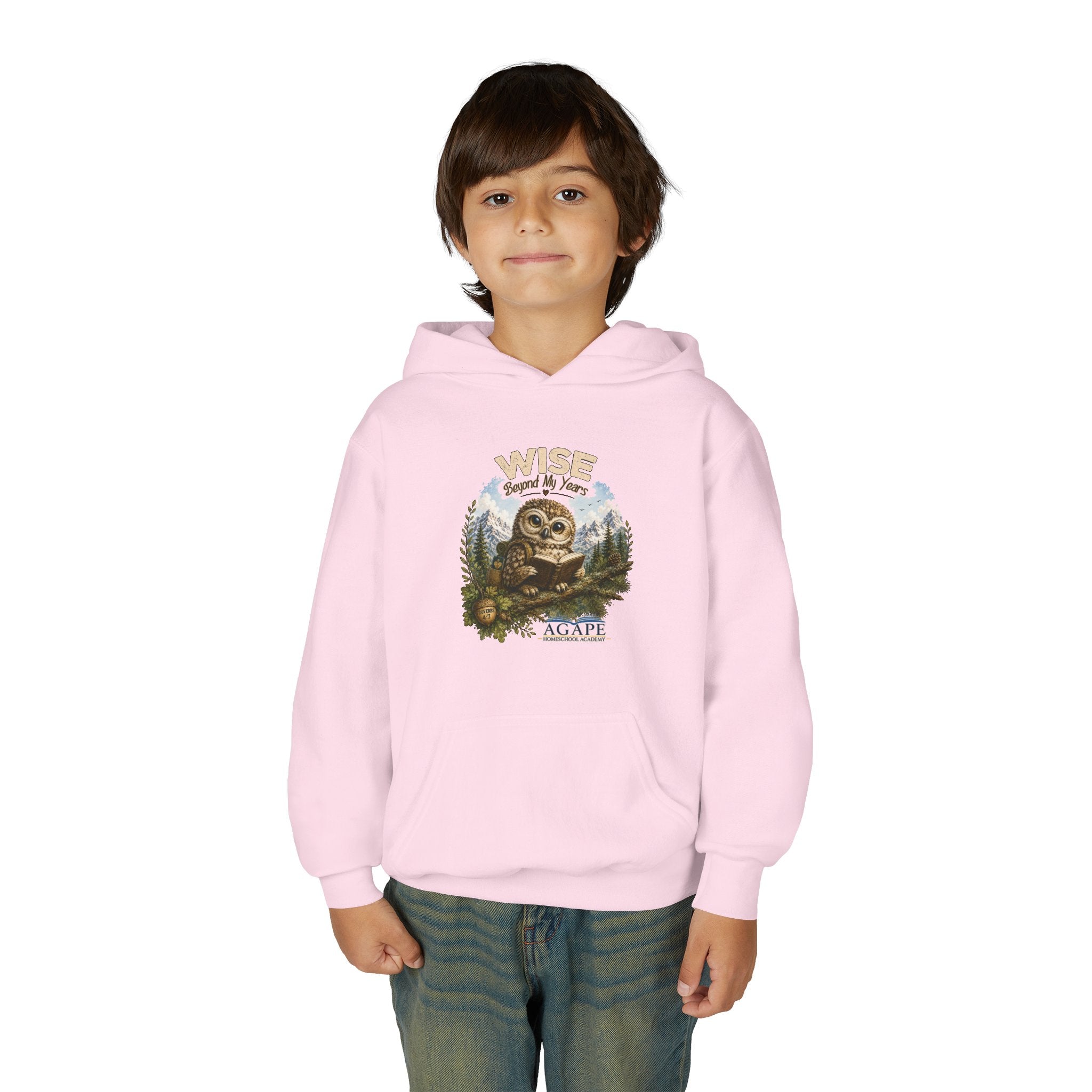 Doves Agape Christian Academy Owl Pullover Hoodie