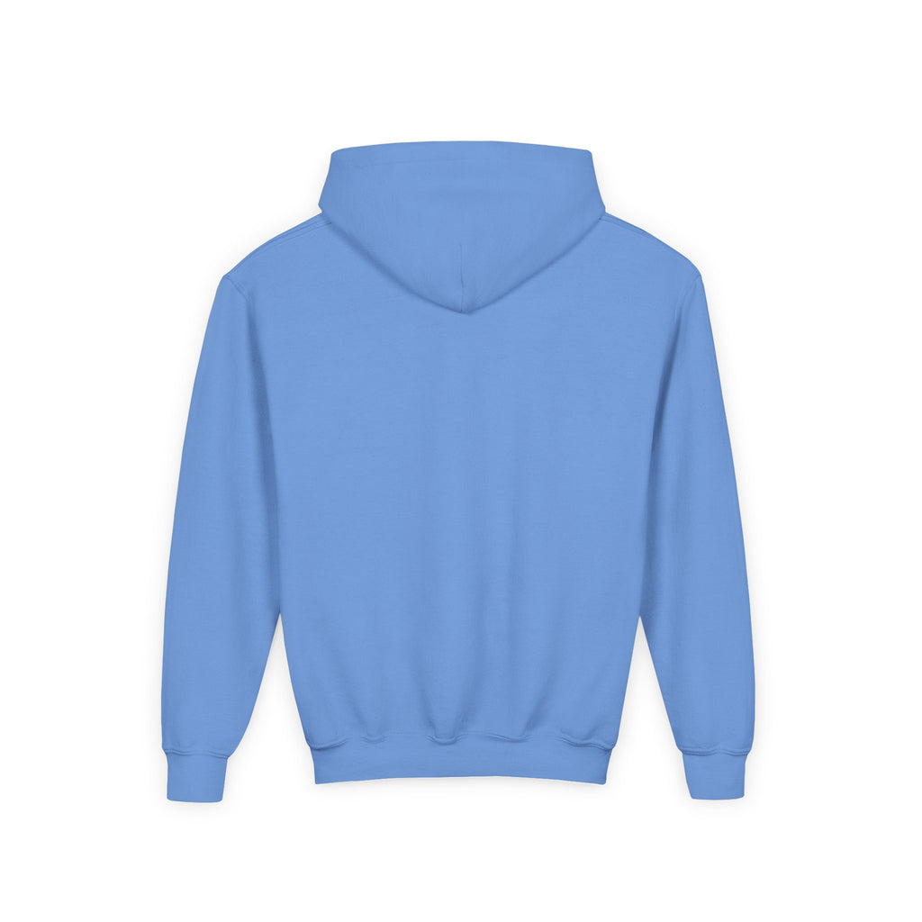 Doves Agape Christian Academy Owl Pullover Hoodie