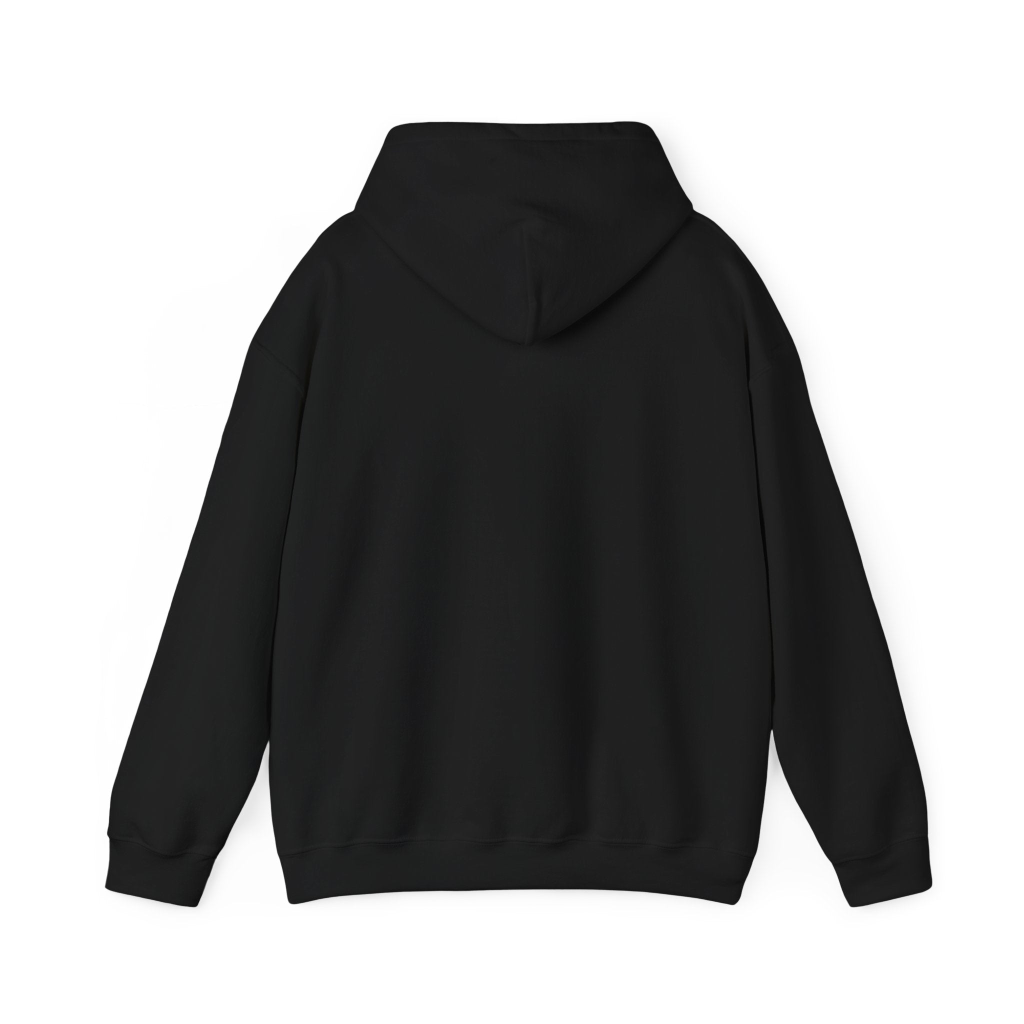 Lions Agape Homeschool Academy Pullover Hoodie