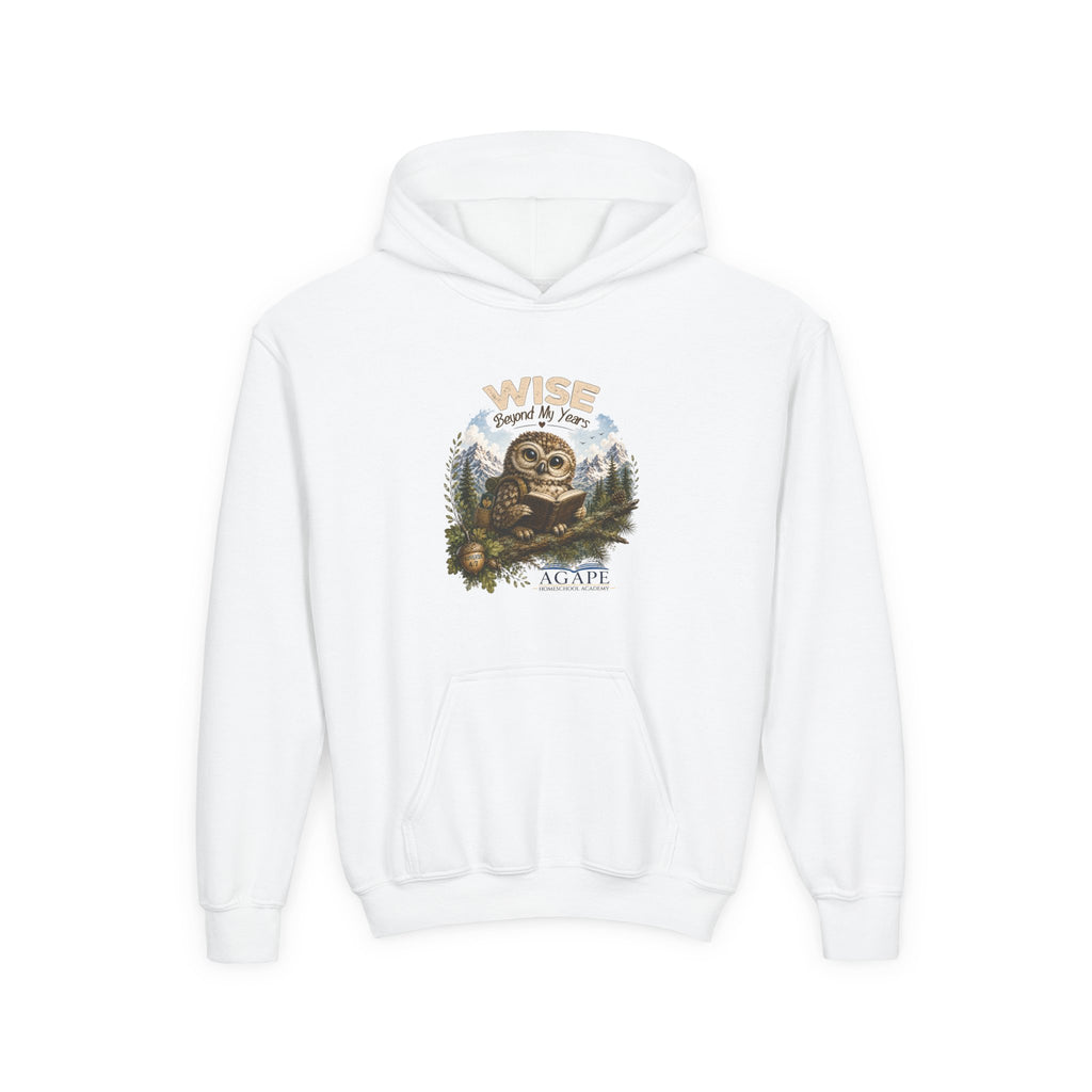 Doves Agape Christian Academy Owl Pullover Hoodie
